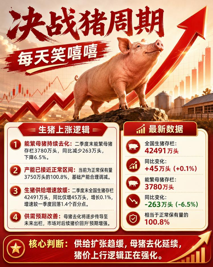 每日快讯图片 1
